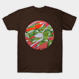 The cities of Mars T-Shirt